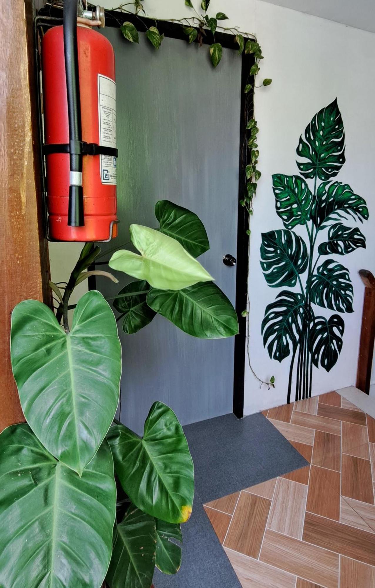 Bougainvillea Guesthouse San Juan  Exterior foto